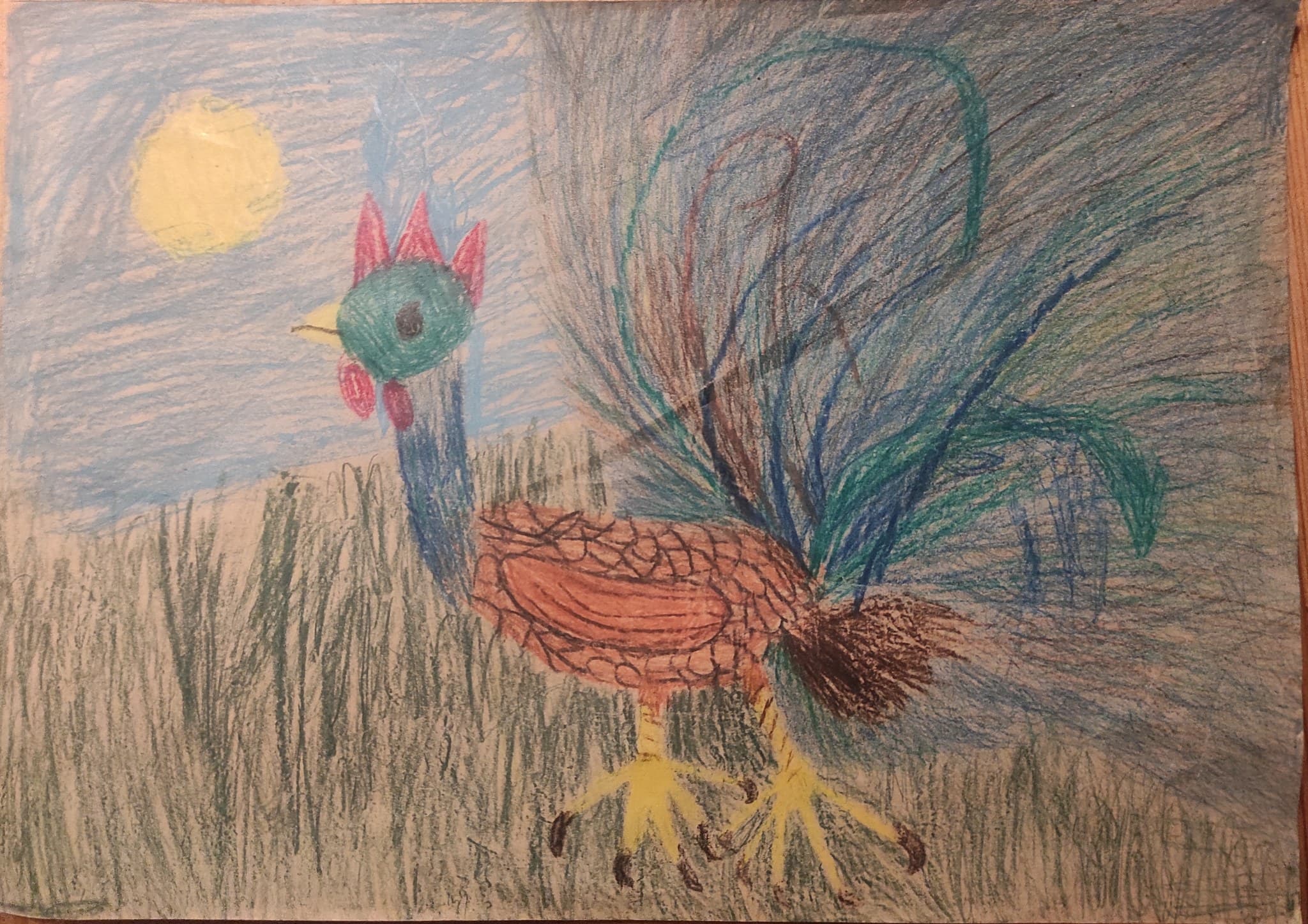 Originele foto — kindertekening van een haan in het gras